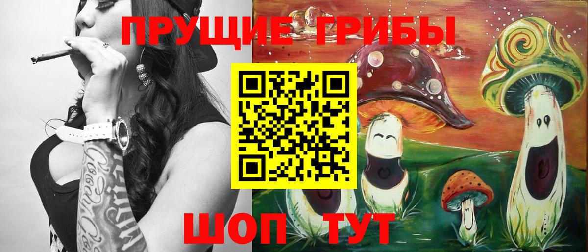 Псилоцибиновые грибы GOLDEN TEACHER  где можно купить   Вход с VPN  Еманжелинск  Галлюциногенные грибы Psilocybe 
