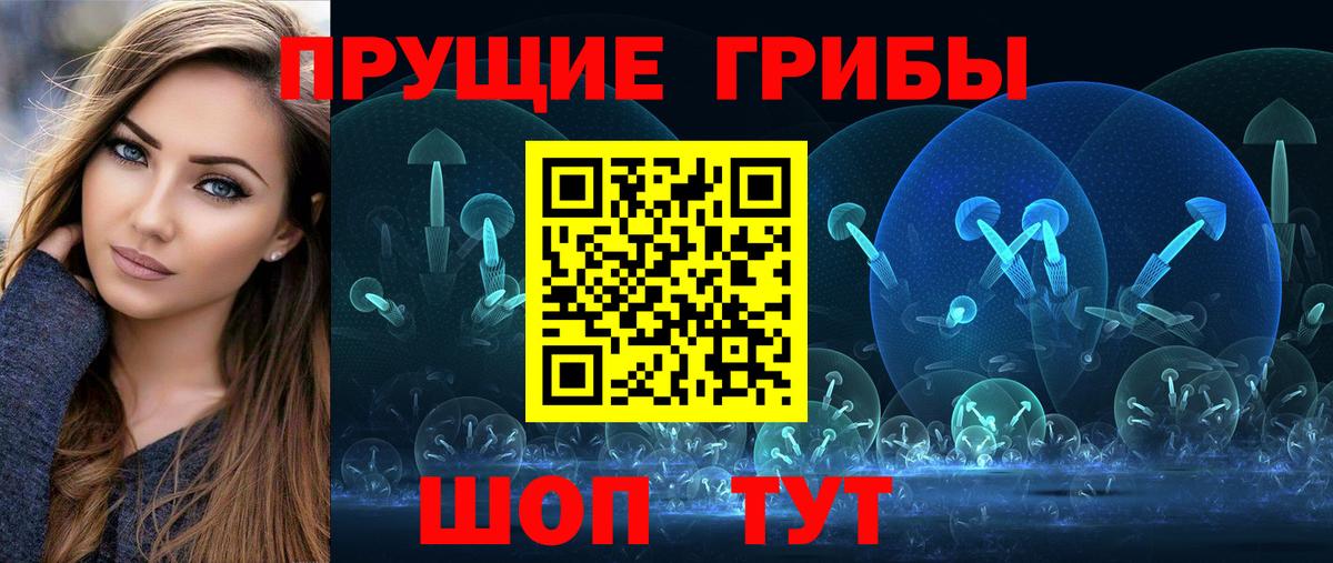 Галлюциногенные грибы Psilocybe Еманжелинск